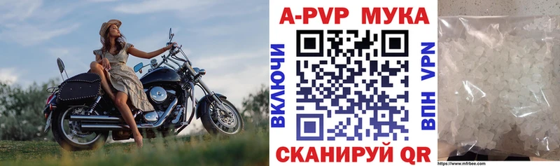 Альфа ПВП СК Покачи
