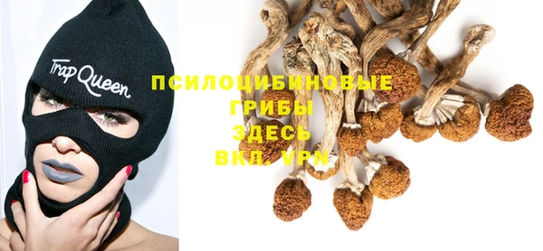 MESCALINE Лиски