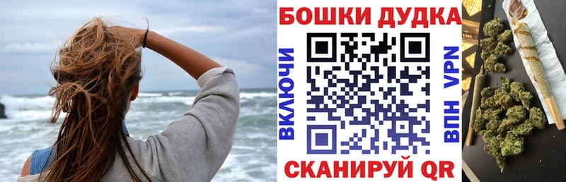 Бошки Шишки сатива Покачи